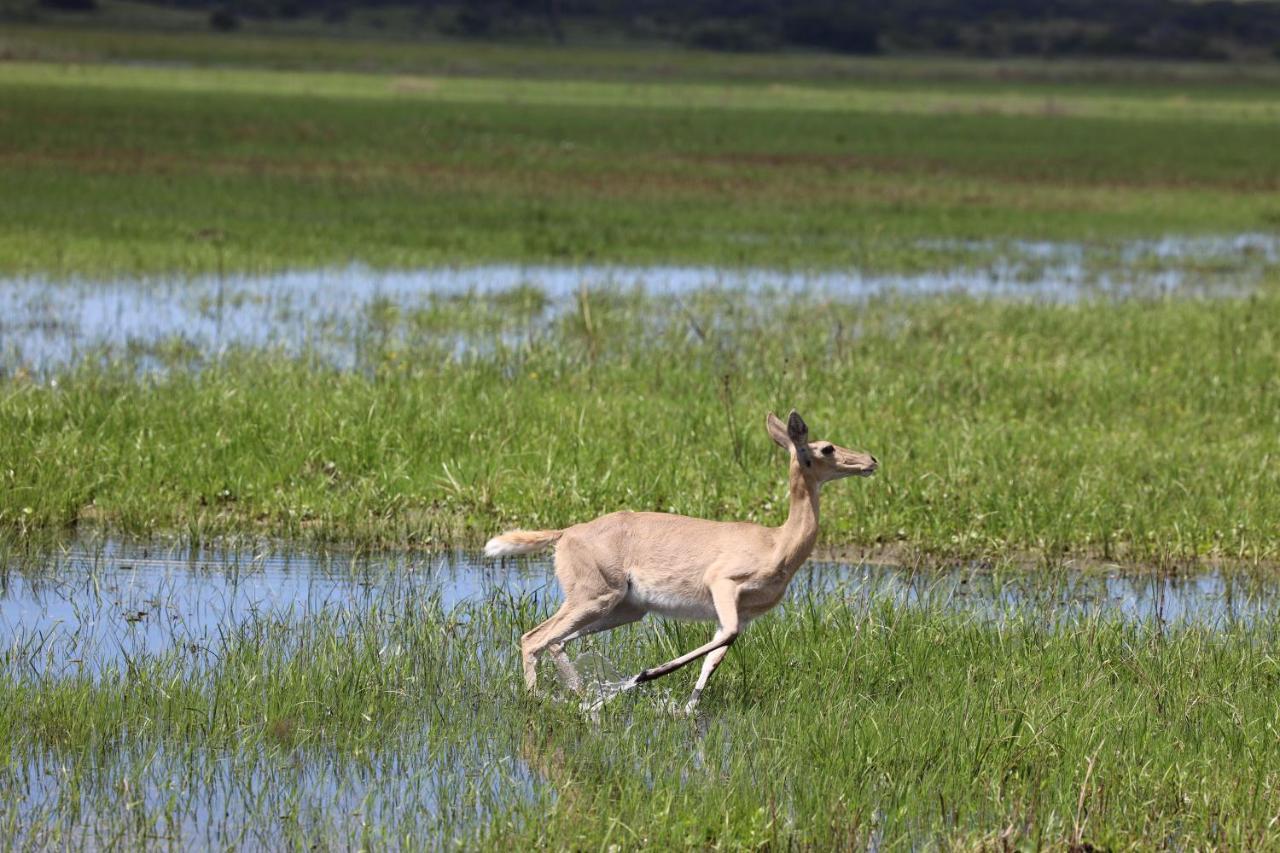 Montebelo Milibangalala Bay Resort Maputo Eksteriør bilde